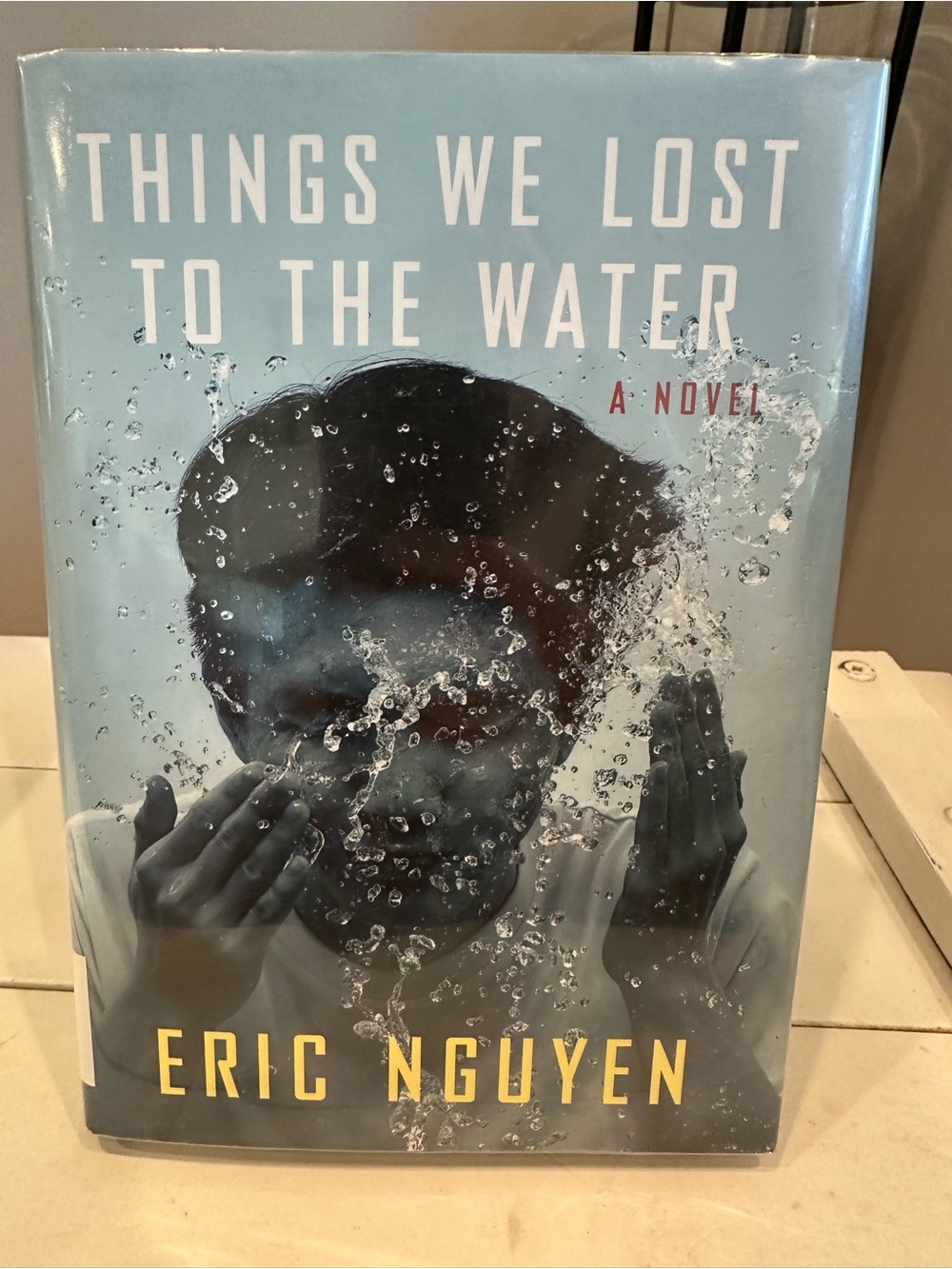 Things We Lost to the Water by Eric Nguyen